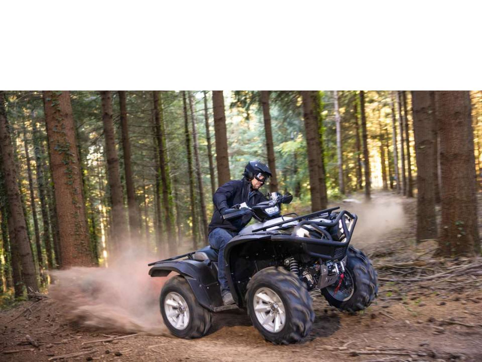 Мотовездеход ATV YAMAHA Grizzly 700 EPS SE 25 TH Anniversary (Low Gloss Black) 2024